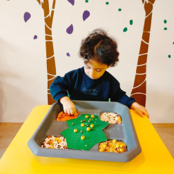 🌾 Duyusal Keşif Zamanı