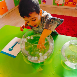 🧊 Bilimle Keşif Zamanı