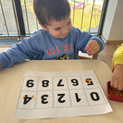 Küçük Ellerde Büyük Rakamlar: Mısır Taneleri ile Sayı Yolculuğu