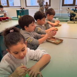 Cent Koleji Bilim ve Teknoloji Haftası’nda İlham Veren Projeler