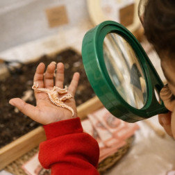 İçindeki Kaşifi Uyandır: Çocuklar İçin Paleontoloji Macerası