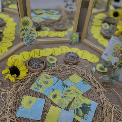 Doğanın Sarı Mirası: Ayçiçeğinin Sanatla Buluştuğu Hikaye