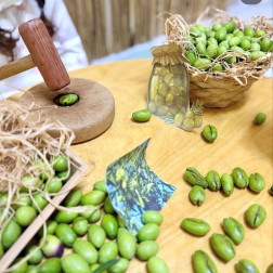 Doğadan Sofranıza: Geleneksel Yöntemlerle Zeytin Kırma Deneyimi