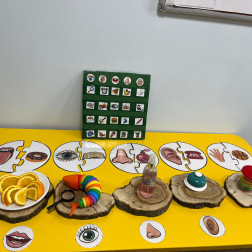 Beş Duyumuzu Keşfediyoruz: Okul Öncesi Eğlenceli Duyusal Öğrenme İstasyonu