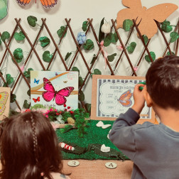 Gems Çalışmaları