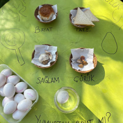 Taze, bayat, sağlam çürük