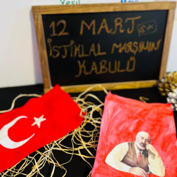 İstiklal Marşı'nın Kabulü