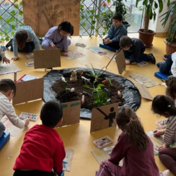 Orman Haftası🌳 🍃 🍁