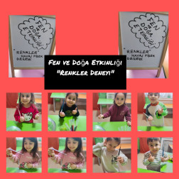 Minik Bilim İnsanları İş Başında: Fen ve Doğa Etkinliklerimiz