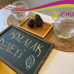 Doğanın Mucizesine Tanıklık: Okulumuzda Kozalak Deneyi!