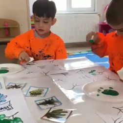 Minik Ellerden Yeşil Bir Gelecek: Orman Haftası Kutlamaları