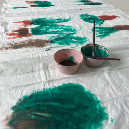 Renklerin İzinde Orman Keşfi!