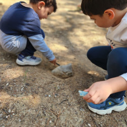 Orman Haftası Etkinliğimiz!