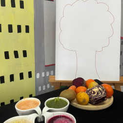 Doğadan Renkler: Sebze ve Meyvelerle Boyama