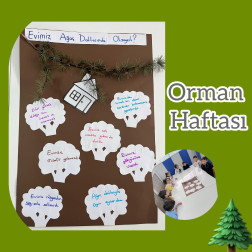 Geleceğin Doğaseverleri İş Başında: Orman Haftası Kutlamalarımız