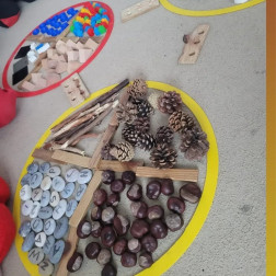 Doğanın Ritmiyle Öğreniyoruz: Okul Öncesinde Gruplama ve Sınıflandırma Etkinlikleri