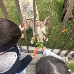 ÜSKÜDAR ÇOCUK KÖYÜ’NE GİDİYORUZ! 🌾🐥