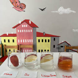 Minik Bilim İnsanları: Su Arıtma Deneyi