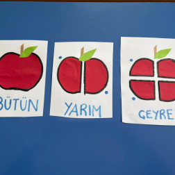 Parça-Bütün İlişkisiyle Eğlenceli Keşifler 🍎