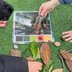 Doğanın Renkleri Grafiği