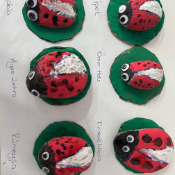 Taş Boyama Atölyesi: Minik Eller, Renkli Taşlar!