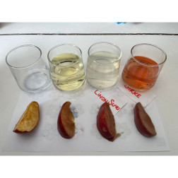 Eğlenerek Öğreniyoruz: Elma Deneyi