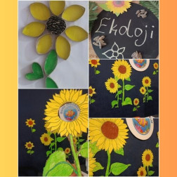 Ekoloji ve Doğa Dostu Etkinlikler!