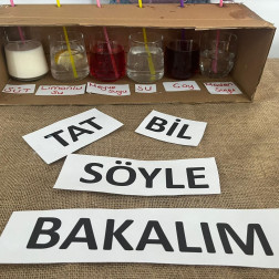 Tat, Bil, Söyle: Duyularımızla Keşfediyoruz!