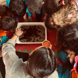 Meraklı Zihinler İş Başında: Deneyerek ve Keşfederek Öğreniyoruz