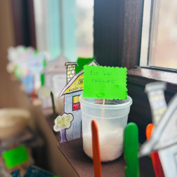 Küçük Ellerde Büyük Mucize: Fasulyenin Yolculuğu