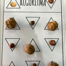 Okul Öncesi Dönemde Eğlenceli Algoritma Eğitimi: Ceviz ve Fındıkla Kodlama