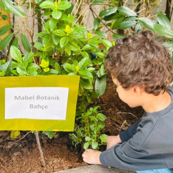 Minik Eller Toprakla Buluşuyor: Mabel Botanik Bahçesi’nde İlk Fidanlar Dikildi!