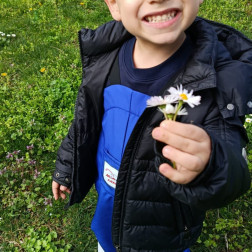 Sınıfımız Doğa, Kitabımız Yeryüzü: Orman Okulu Günlükleri 🌿