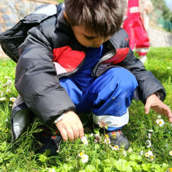 Sınıfımız Doğa, Kitabımız Yeryüzü: Orman Okulu Günlükleri 🌿