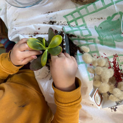 Bitki dikim ve botanik atölyesi
