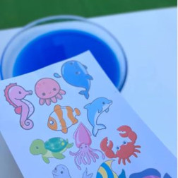 Deniz Dünyasını Keşfediyoruz: Çocuklar İçin Eğlenceli Deniz Canlıları Etkinliği