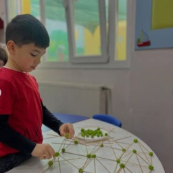 Okul Öncesi Eğitimde STEM ve Yaratıcılık