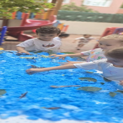 Deniz Canlıları Temalı Duyusal Atölye Çalışması