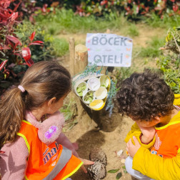 Doğayla İç İçe Keyifli Bir Yürüyüş 🌿