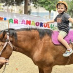 Binicilik ve At Bakımı
