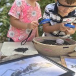 Toprakta Karınca Arıyoruz!