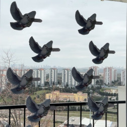 Gönüllere Dokunan Bir Köşe: Hadis Bahçesi