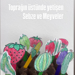 Bitkiler Nerede Yetişir?