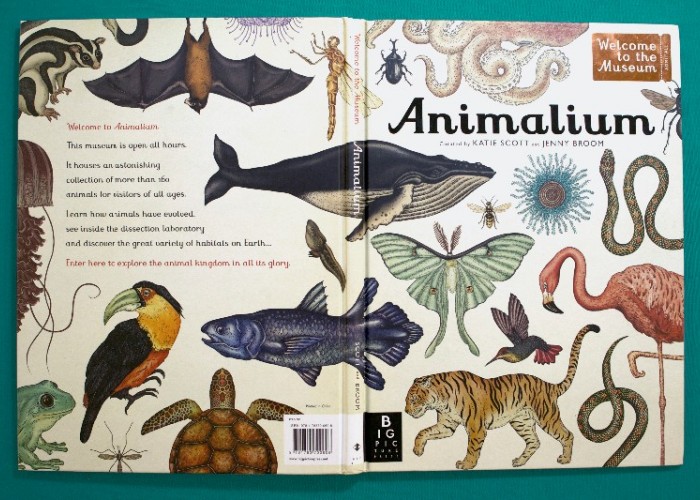 Kitap Önerisi; Animalium-1