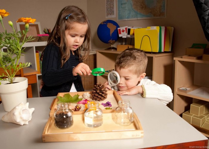Montessori Eğitimi Veren Kadıköy Anaokulları
