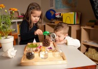 Montessori Eğitimi Veren Kadıköy Anaokulları