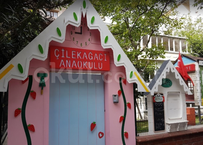 Özel Göztepe Çilek Ağacı Anaokulu