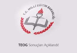 TEOG Sonuçları Açıklandı - TEOG YEP Puanı Sorgulama