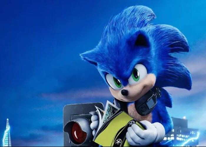 Kirpi Sonic