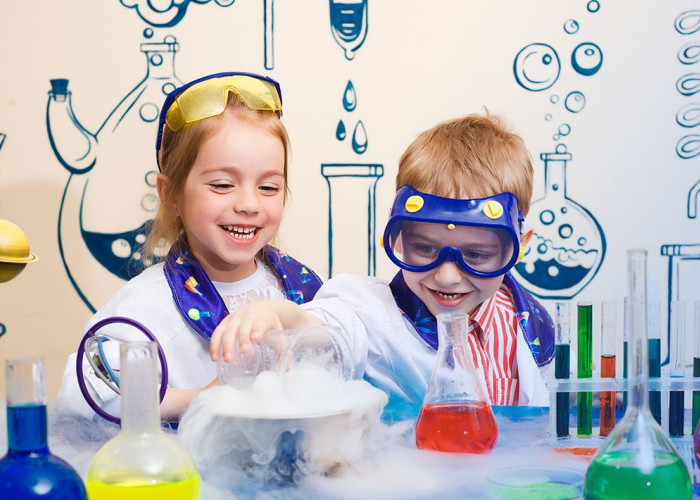 STEM Nedir?